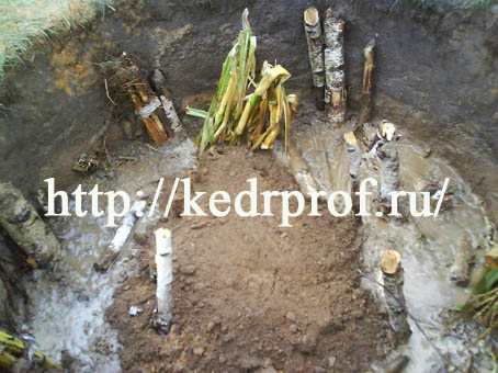 Посадочную яму заполните смесью верхнего плодородного слоя почвы с компостом